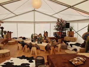 Kunstpflanze Kaktus S 0